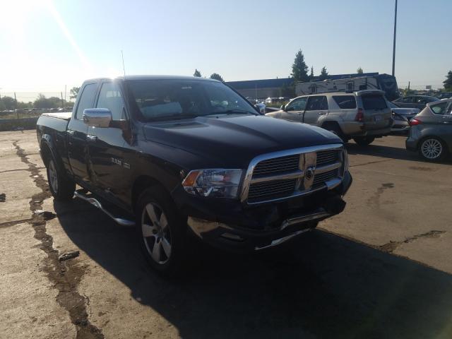 DODGE RAM 1500 2010 1d7rv1gt6as240499