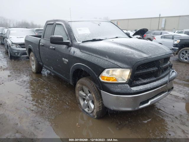 DODGE RAM 1500 2010 1d7rv1gt6as250983