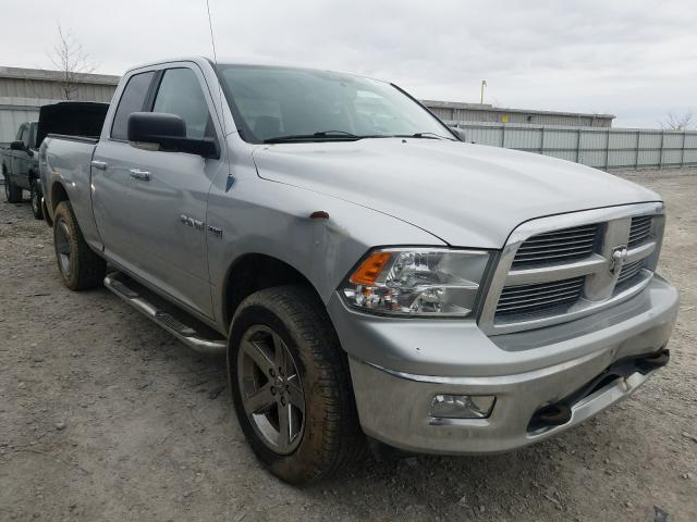 DODGE RAM 1500 2010 1d7rv1gt6as257741