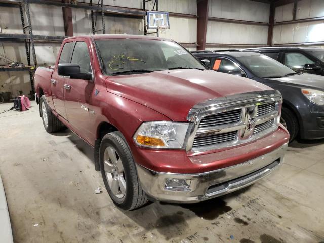 DODGE RAM 1500 2010 1d7rv1gt7as106889