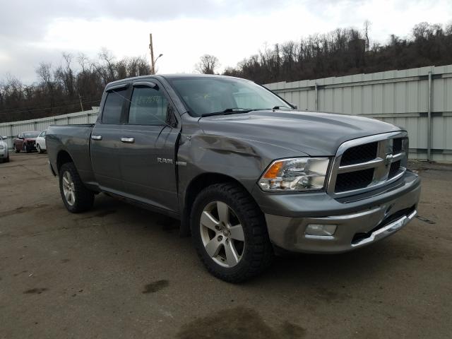 DODGE RAM 1500 2010 1d7rv1gt7as116144