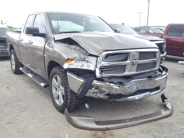 DODGE RAM 1500 2010 1d7rv1gt7as125362