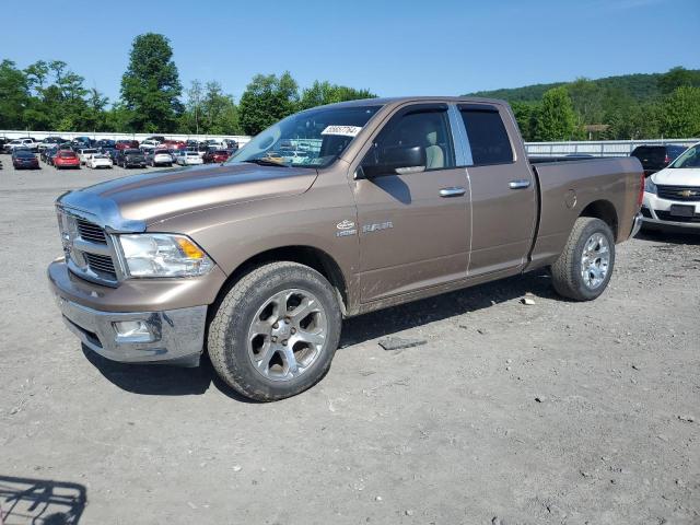 DODGE RAM 1500 2010 1d7rv1gt7as128553