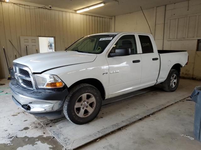 DODGE RAM 1500 2010 1d7rv1gt7as154795