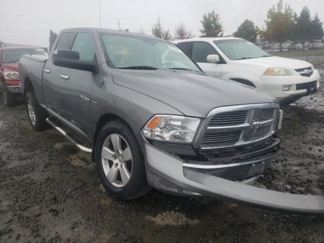 DODGE RAM 1500 2010 1d7rv1gt7as241368