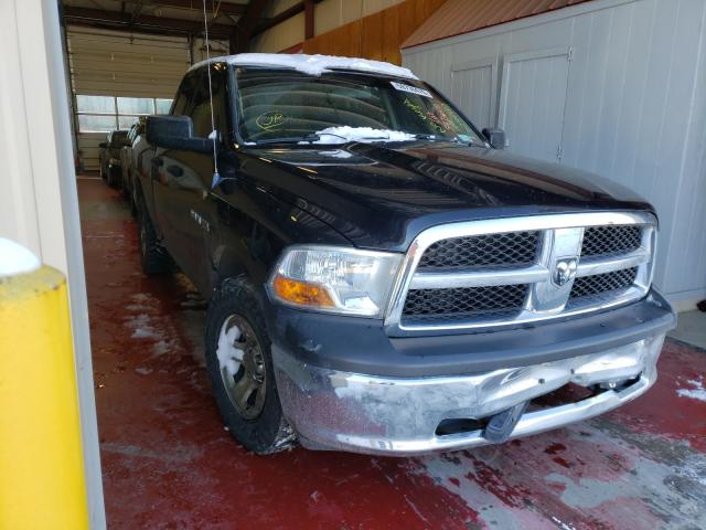 DODGE RAM 1500 2010 1d7rv1gt7as259482