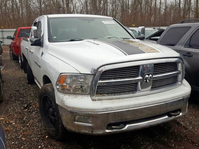 DODGE RAM 1500 2011 1d7rv1gt7bs698859