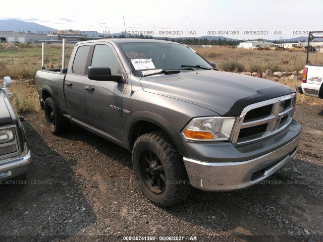 DODGE RAM 1500 2010 1d7rv1gt8as102690