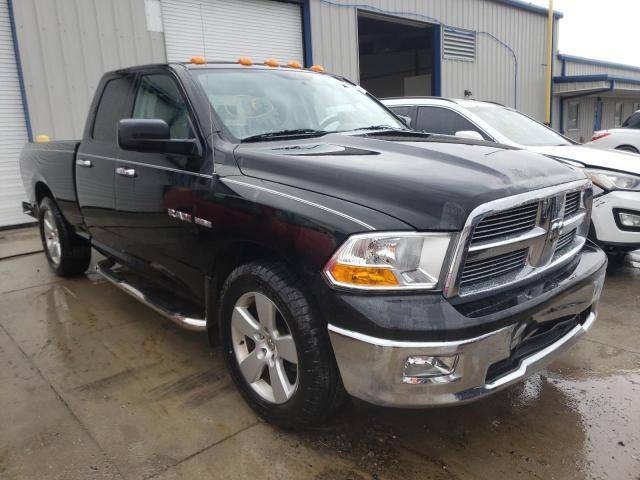 DODGE RAM 1500 2010 1d7rv1gt8as113611