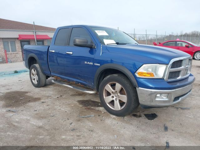 DODGE RAM 1500 2010 1d7rv1gt8as114547