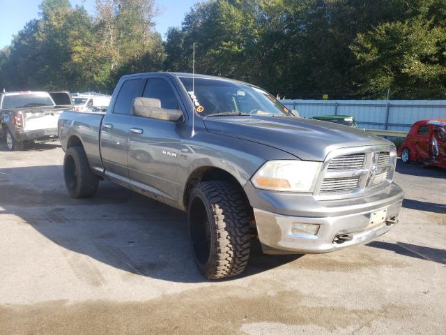 DODGE RAM 1500 2010 1d7rv1gt8as118713