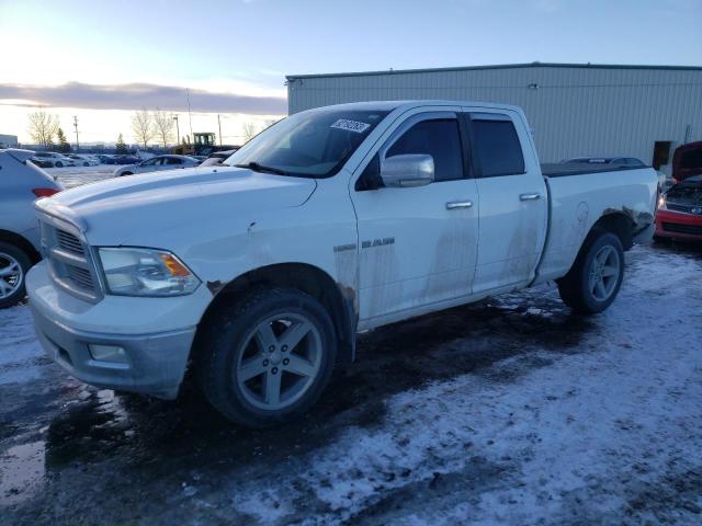 DODGE RAM 1500 2010 1d7rv1gt8as135804