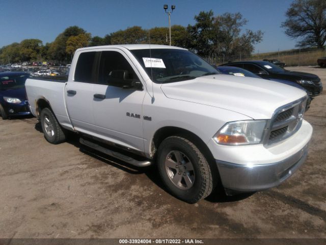 DODGE RAM 1500 2010 1d7rv1gt8as200361