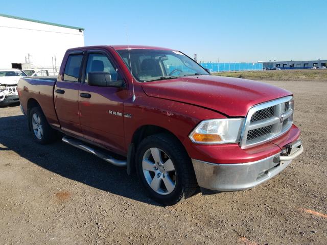 DODGE RAM 1500 2010 1d7rv1gt8as219444