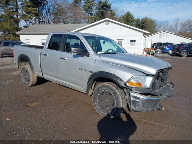 DODGE RAM 1500 2010 1d7rv1gt8as240889