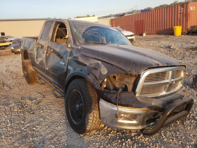 DODGE RAM 1500 2010 1d7rv1gt8as244246