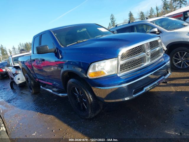 DODGE RAM 1500 2010 1d7rv1gt8as253271