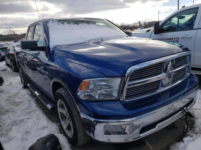 DODGE RAM 1500 2011 1d7rv1gt8bs510298