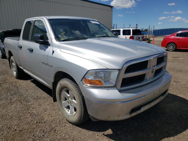 DODGE RAM 1500 2010 1d7rv1gt9as102665