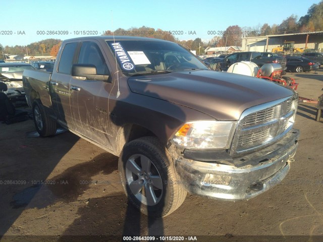 DODGE RAM 1500 2010 1d7rv1gt9as123421