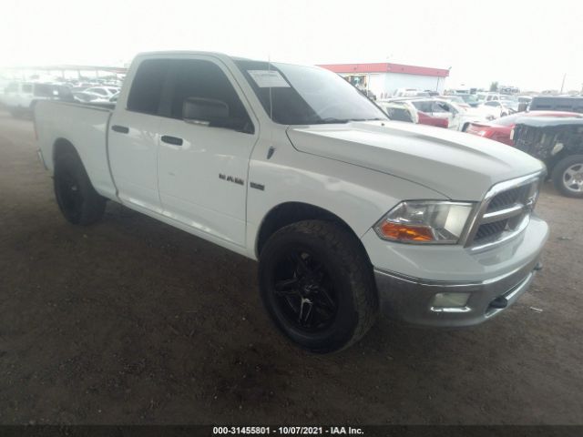 DODGE RAM 1500 2010 1d7rv1gt9as168150