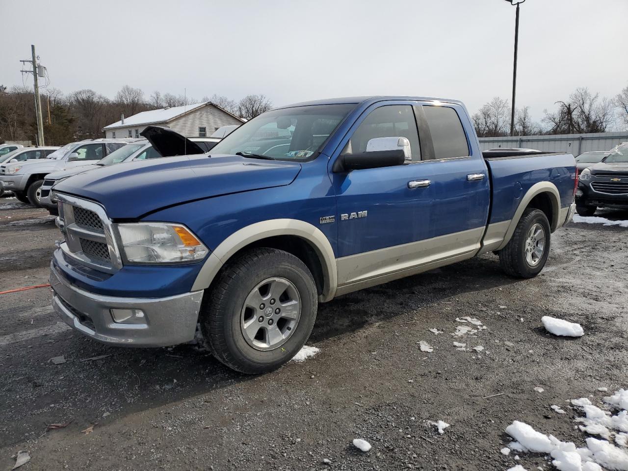 DODGE RAM 2010 1d7rv1gt9as176183