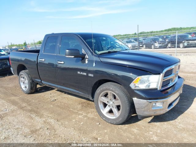 DODGE RAM 1500 2010 1d7rv1gt9as198748