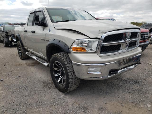 DODGE RAM 1500 2010 1d7rv1gt9as228802