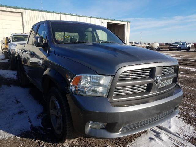 DODGE RAM 1500 2010 1d7rv1gt9as254557