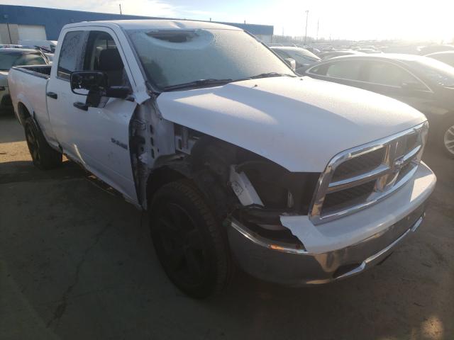 DODGE RAM 1500 2010 1d7rv1gtxas102478