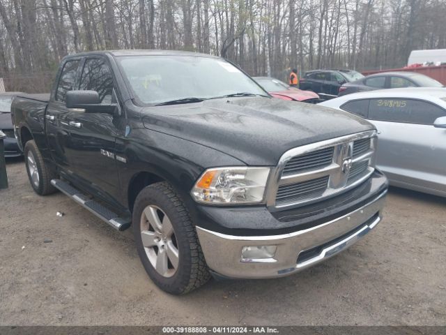 DODGE RAM 1500 2010 1d7rv1gtxas117384