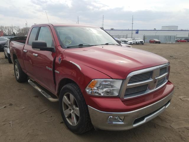 DODGE RAM 1500 2010 1d7rv1gtxas120723