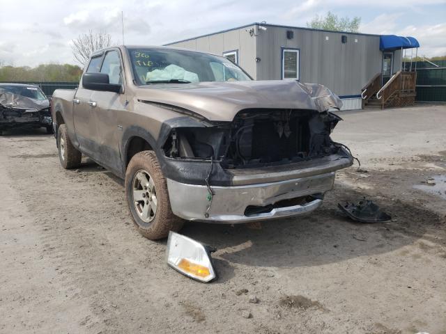 DODGE RAM 1500 2010 1d7rv1gtxas207196