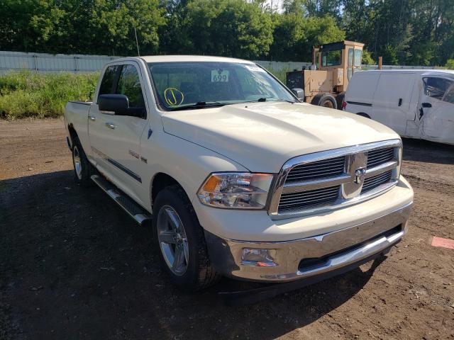 DODGE RAM 1500 2010 1d7rv1gtxas235029