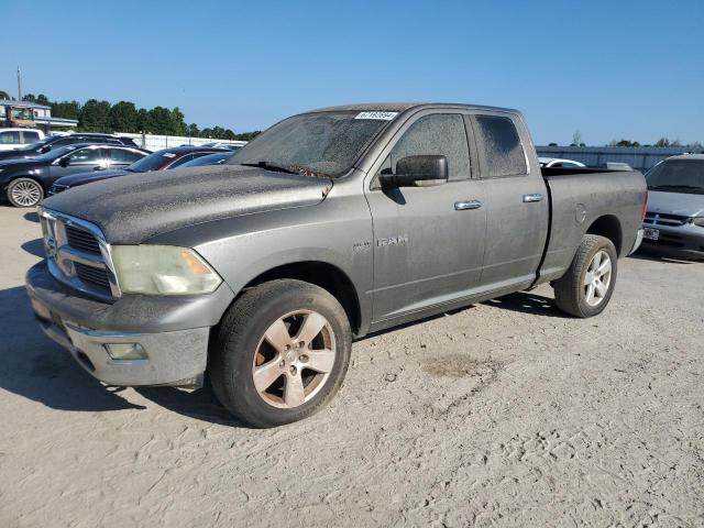 DODGE RAM 1500 2010 1d7rv1gtxas244152