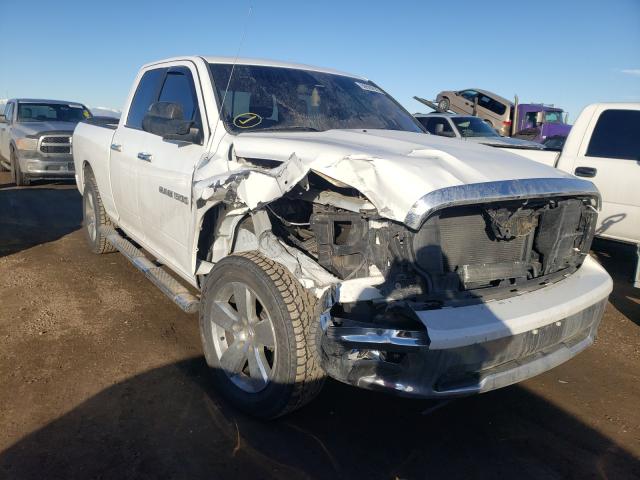 DODGE RAM 1500 2011 1d7rv1gtxbs502672