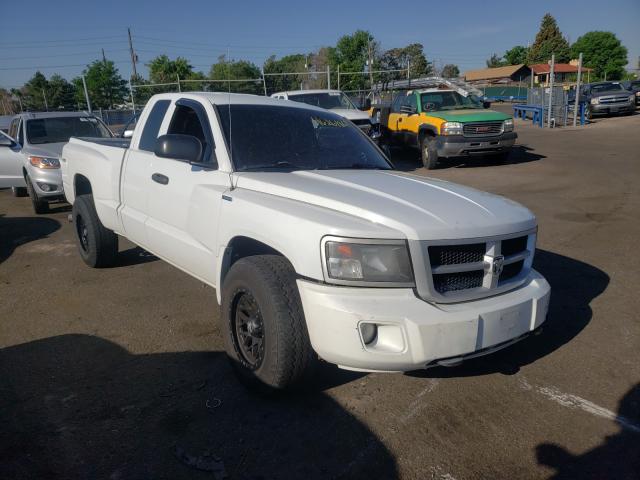 DODGE DAKOTA SXT 2010 1d7rw3bk1as233757