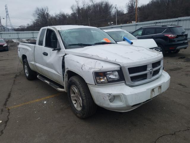 DODGE DAKOTA SLT 2011 1d7rw3bk8bs563090