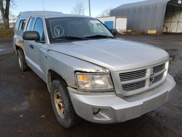 DODGE DAKOTA SXT 2010 1d7rw3bp0as155029