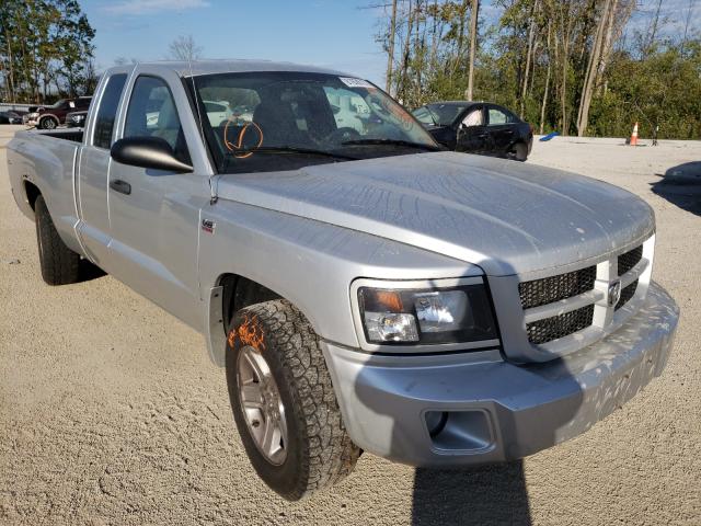 DODGE DAKOTA SXT 2010 1d7rw3bp8as108301