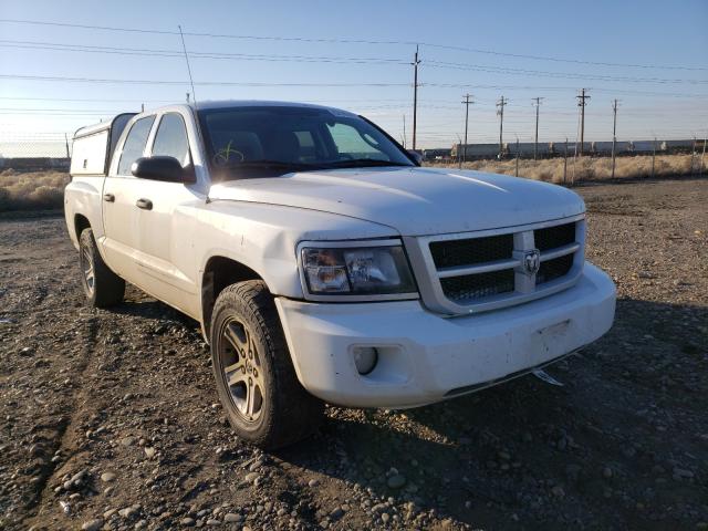 DODGE DAKOTA SLT 2011 1d7rw3gk0bs581057