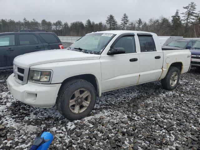 DODGE DAKOTA 2011 1d7rw3gk5bs633850