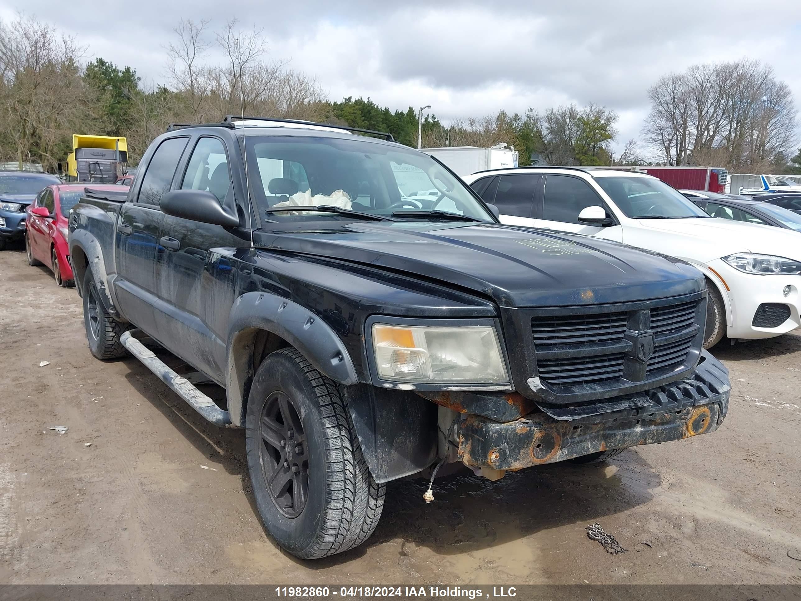 DODGE DAKOTA 2011 1d7rw3gk7bs649824