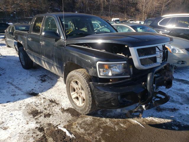 DODGE DAKOTA SLT 2011 1d7rw3gk8bs575085