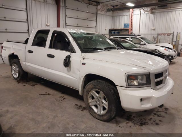 DODGE DAKOTA 2010 1d7rw3gp0as233687