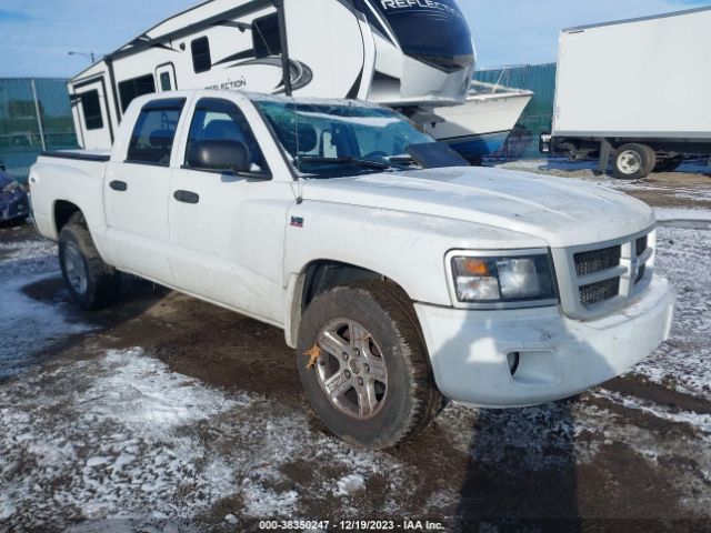 RAM DAKOTA 2011 1d7rw3gp0bs661888