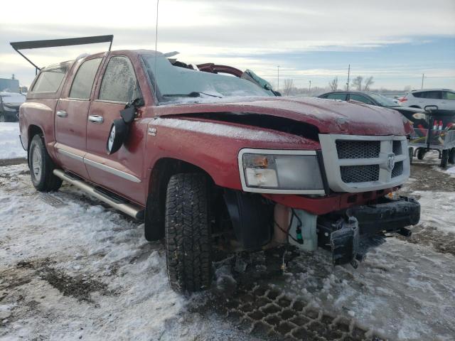 DODGE DAKOTA SLT 2011 1d7rw3gp1bs669448