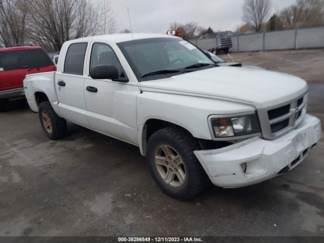 DODGE DAKOTA 2010 1d7rw3gp3as233800