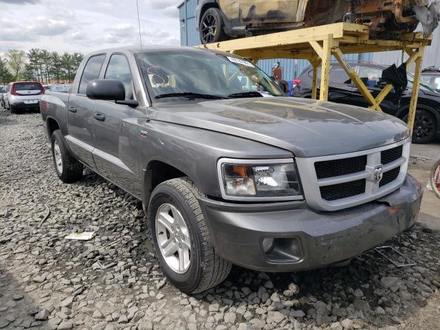 DODGE DAKOTA SLT 2011 1d7rw3gp3bs649007