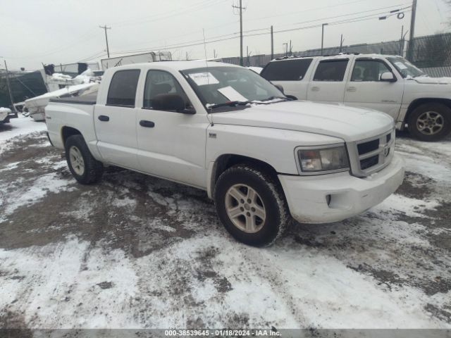 RAM DAKOTA 2011 1d7rw3gp4bs683733